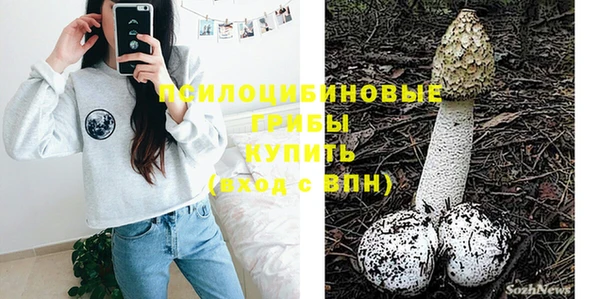 не бодяженный Арсеньев