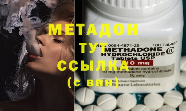 прущие грибы Абинск