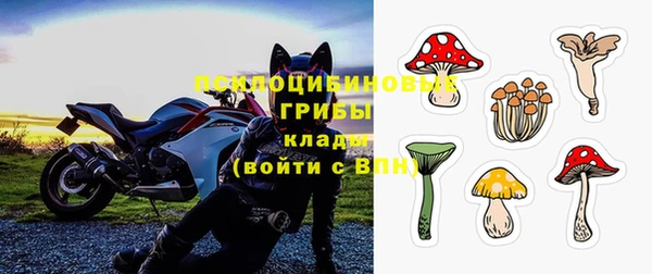 ГАЛЛЮЦИНОГЕННЫЕ ГРИБЫ Алексин