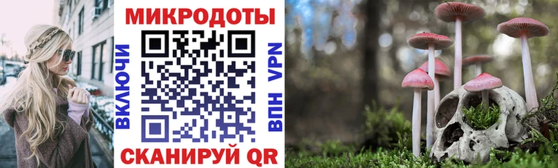Галлюциногенные грибы мицелий Балашиха